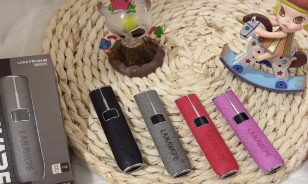 LANA 皮革主機細節特寫,展示雙槽結構與皮革紋理質感